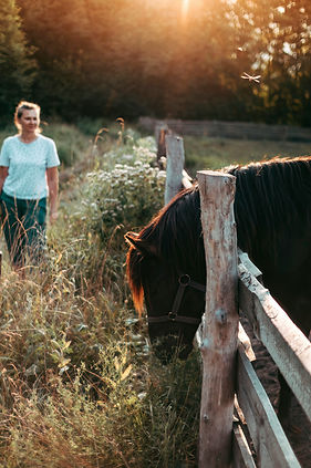 Image by Ruslan Sikunov
