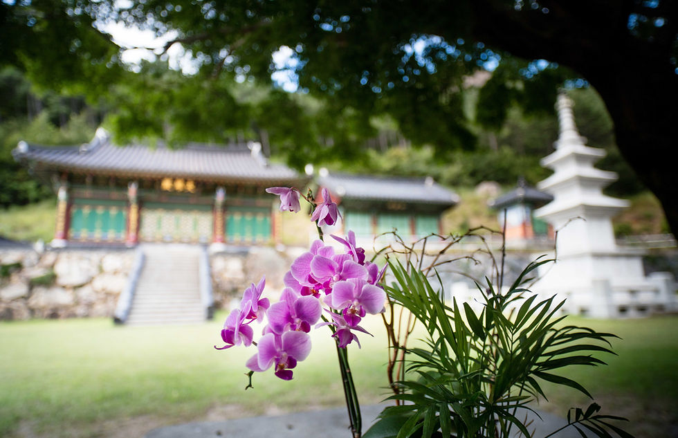 What the MZ Generation's Turn to Buddhism is Teaching Us