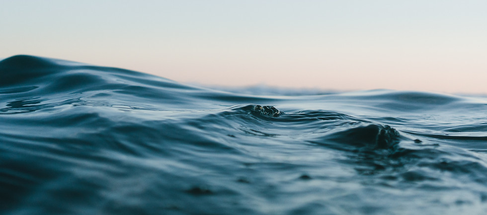 Image by Matt Hardy