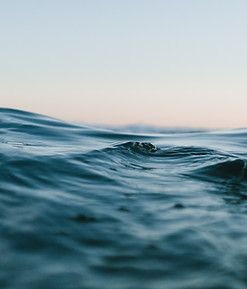 Image by Matt Hardy