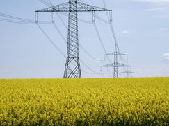 Sem inclusão digital, não há cidadania financeira nem transição energética