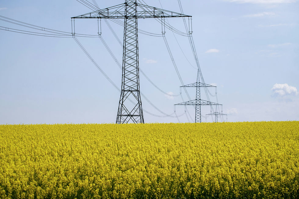 Sem inclusão digital, não há cidadania financeira nem transição energética