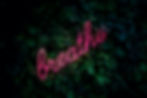 neon pink script spelling breathe on a wall of greenery.