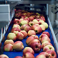 Food Production