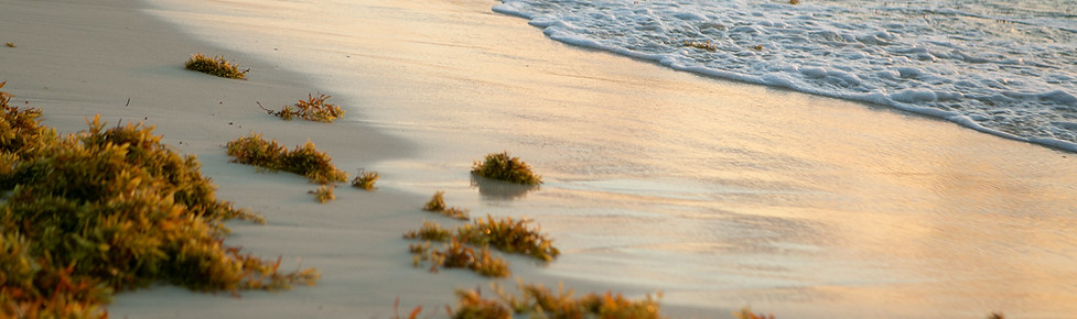 Image by Thor Tryggvason