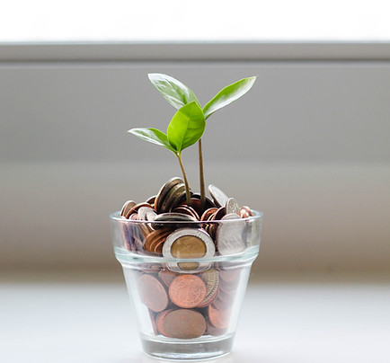A tree growing from a stack of coins, symbolizing business growth, financial success, and smart investment