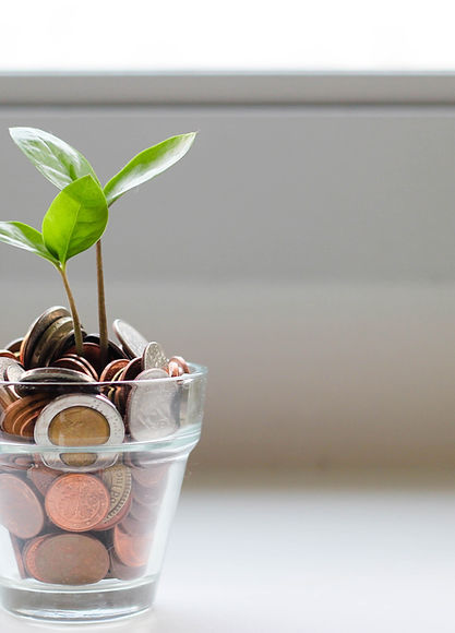 Image by Visual Stories || Micheile