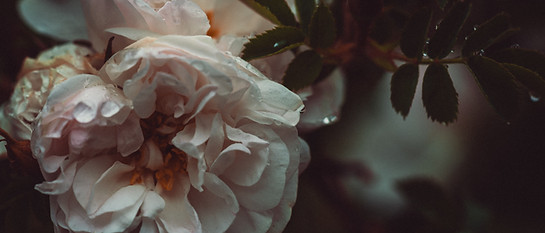 Image by Xuan Nguyen