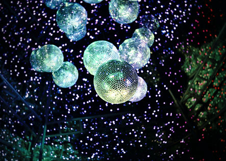 Image by Fidel Fernando