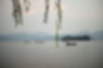 Image by Qin Fan