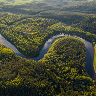 A coalition of over 450 organisations reframes the rainforest as a living system, urging leaders to act before irreversible tipping points