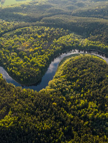 COP30 e o dilema brasileiro: a Amazônia entre moeda diplomática e patrimônio coletivo