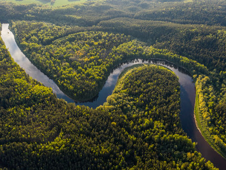 Guardians of the Amazon