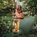 Image by Kyle Nieber