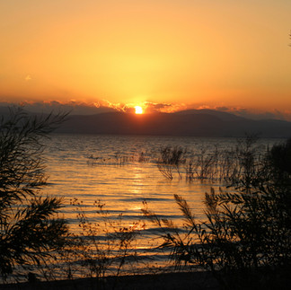 Golden sunset over the Sea of Galilee with light reflecting off the water and reeds in the foreground.