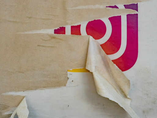 Why Instagram Reels Are Changing Social Media Marketing on the Beaches