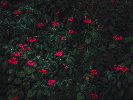 ماذا لو كان لقاؤنا الأخير!