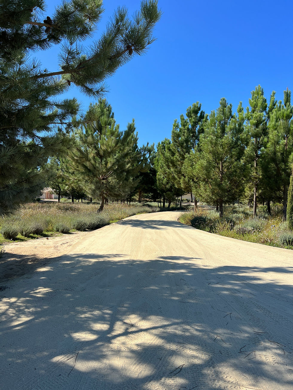 Parcs naturels de Comporta : randonnées et aventure