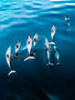 Image by Vilu Photos