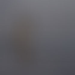 The Hidden Power of Naming Your Wounds Before They Name You