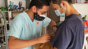 10 Rules of Emergency Nursing