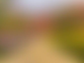 ESPOSIZIONE GIARDINO