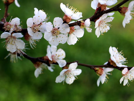 Why Advisory? Navigating Truths That Govern Our Lives (3Q15 Newsletter)