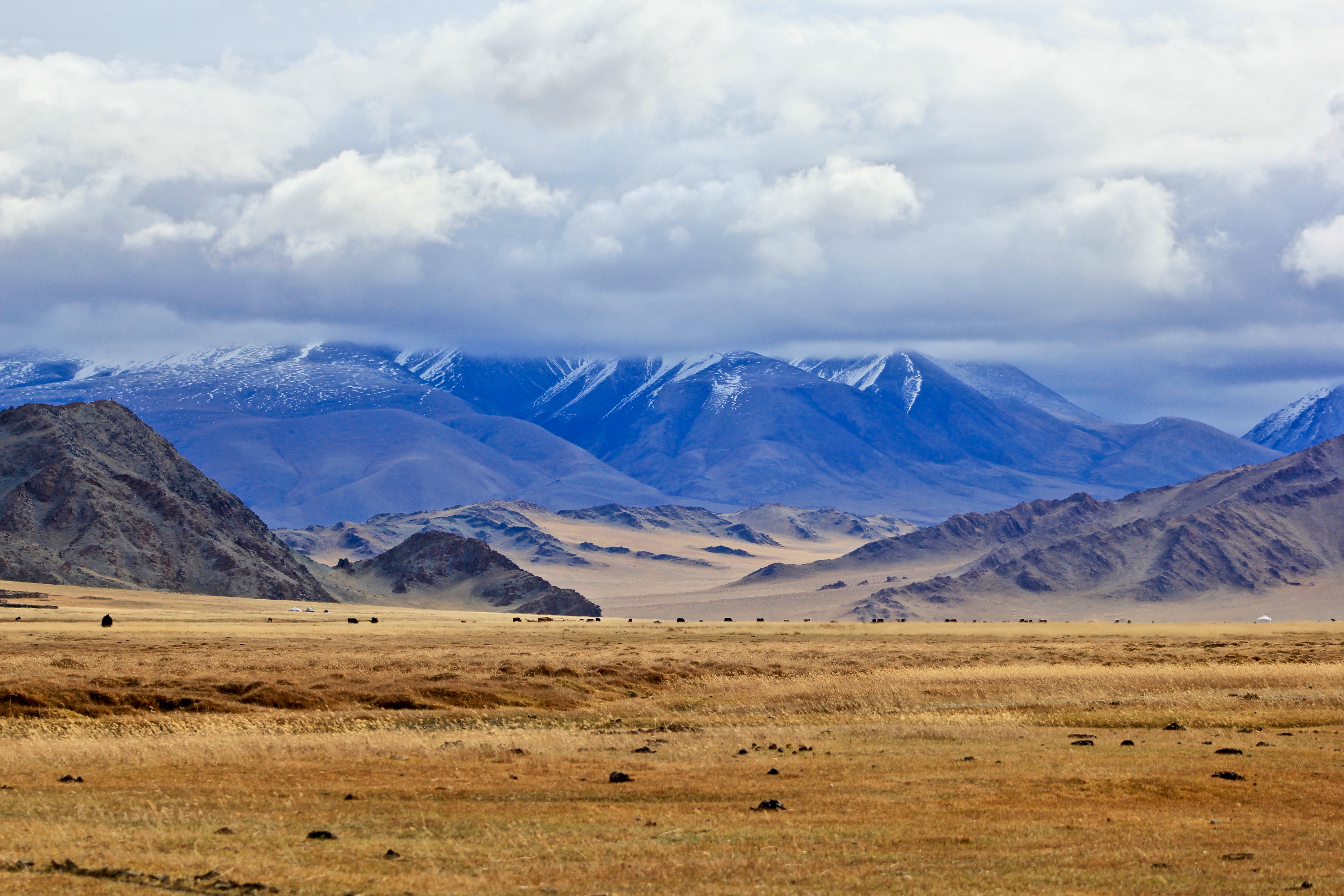 Discover Mongolia's breathtaking natural landscapes from the Gobi Desert to pristine lakes. Explore wildlife, seasonal beauty, and untouched wilderness through expert insights.
