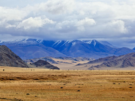 Central & West Mongolia — Altai Mountains (15 Days