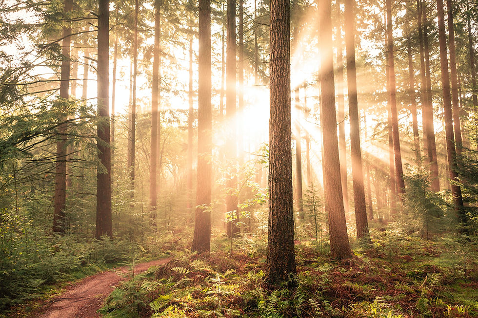 The Body Remembers: Physical Healing from a Spiritual Perspective Workshop