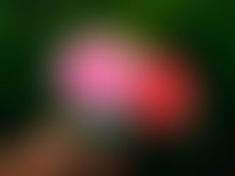 Latihan Soal TKA Pendidikan Pancasila SMA 