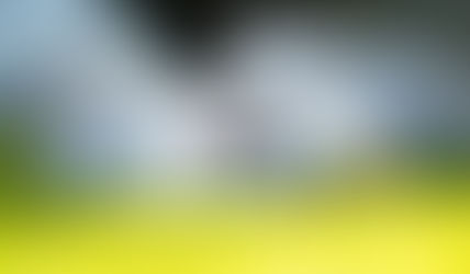 Proverbs of a 40 yr old man