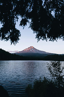 Image de Peter Thomas