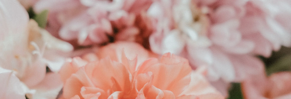 Image by Zoë McCrum