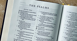 Image by Tim Wildsmith