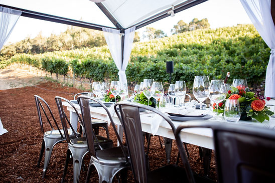 Image by Fantesca Estate & Winery