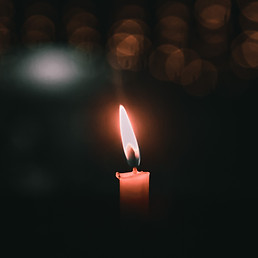 Image by Ojaswi Pratap Singh