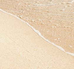 Image by Daniela Beleva