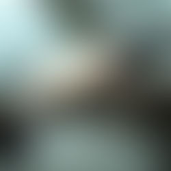 The First 100 Miles: Essential Tips for New Drivers Navigating Real-World Roads