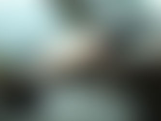 The First 100 Miles: Essential Tips for New Drivers Navigating Real-World Roads