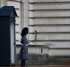 Image by Mark Stuckey