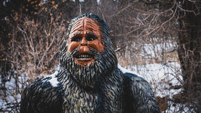 Cryptid Curiosities ‘Bigfoot’