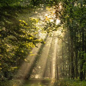 "And God said... Let there be light!"