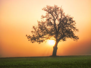 Geoengineering sounds like a quick climate fix, but without more research and guardrails, well ...