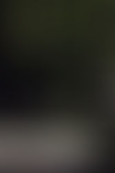 Book Analysis - A Rainforest Adventure: Jasper Amazon Parrot by Sharon C Williams