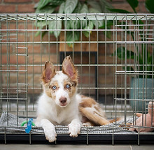 Image by Ayla Verschueren