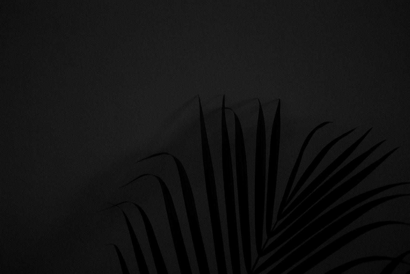 Image by Akshar Dave🌻