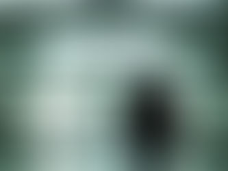 ルカ24章50節~53節 キリストの様に歩む恵み