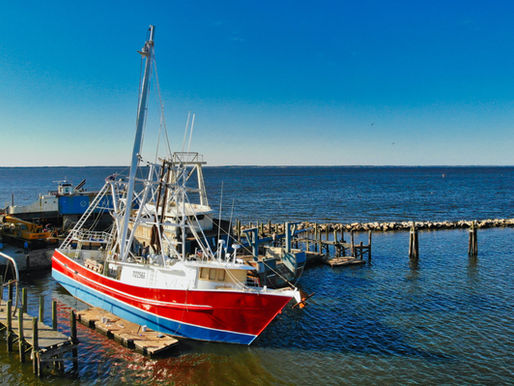 Pamlico Sound
