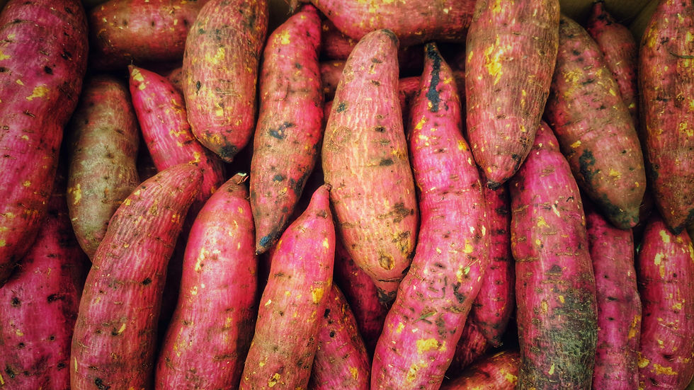 Importing Dried Sweet Potato